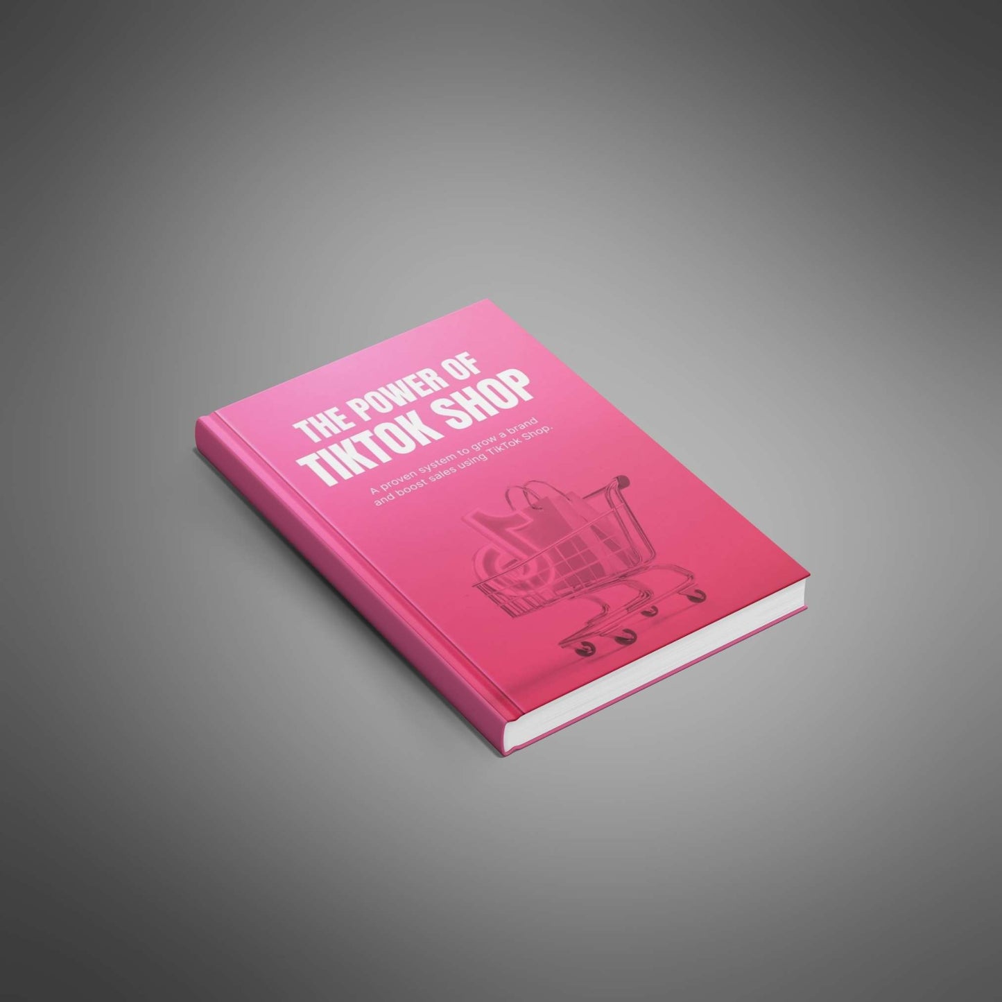Unlock TikTok Shop's Opportunity - Mini-Course
